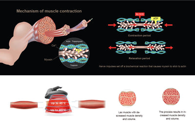 Professional Body Sculpture EMSLIM NEO Machine